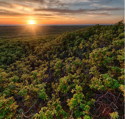 Land Thesis